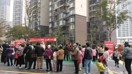 fa09b4c9cb273a866c9eefb13e496238