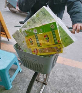 3338ad1e675e17deccc37cafcdffa7ca